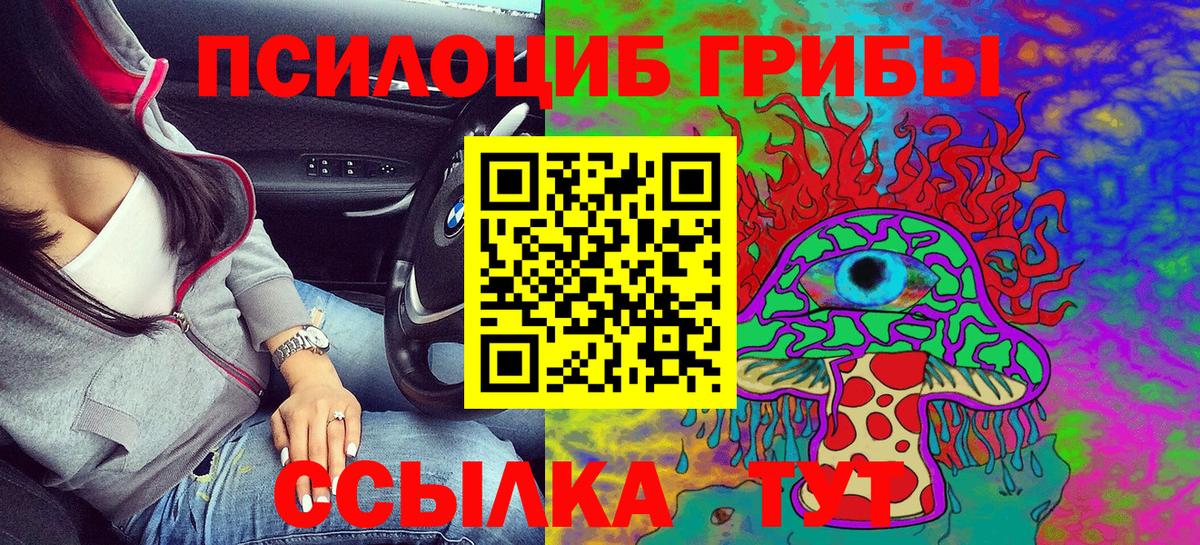 Псилоцибиновые грибы Cubensis Буйнакск